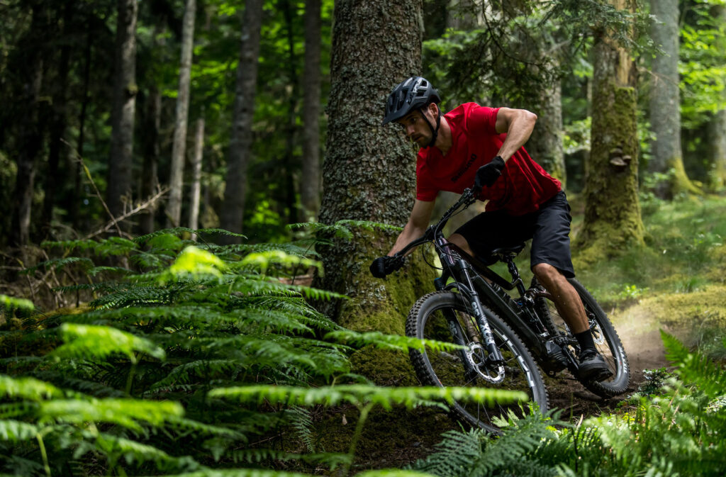 E-biking in the dark forest