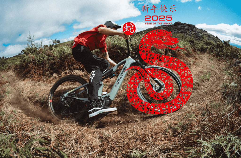 Year of the snake ebikes